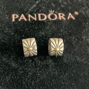Pandora Silver and Gold Floral Charm Beads